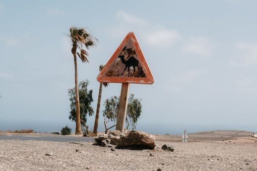 adelanto indemnizacion accidentes trafico 1
