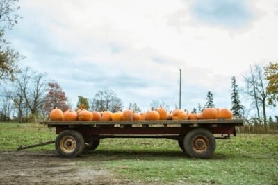 es obligatorio el seguro de accidentes de convenio agricola