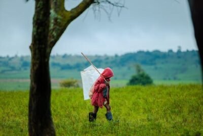 es obligatorio tener seguro de accidente para realizar senderismo