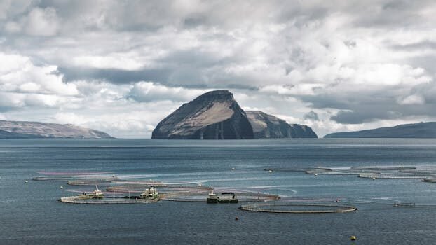 calcular el patrimonio neto como hacerlo 1