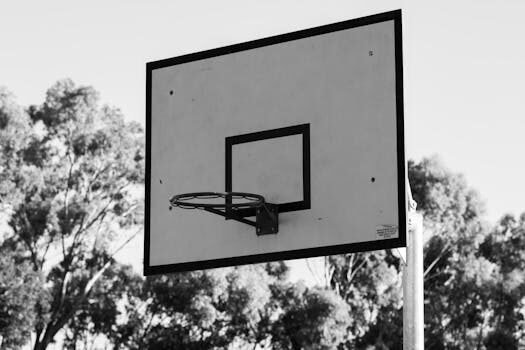 calcular el patrimonio neto como hacerlo 3