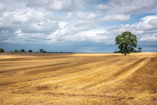 como declarar ingresos agricolas 2