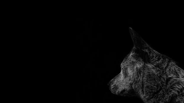 ¿Puedo saber si una persona viva ha hecho testamento? 11 puedo saber si una persona viva ha hecho testamento 5