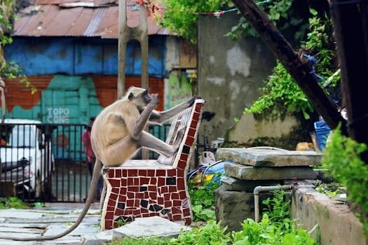 cual es el mejor asiento del avion 5