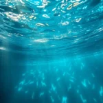 Dar de baja Sonrisas Azules fácilmente