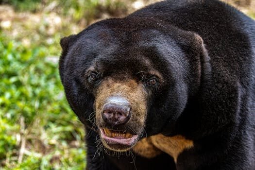 formas de salir del fichero asnef 2