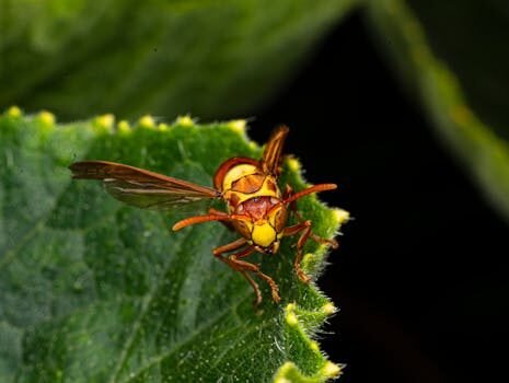 formas de salir del fichero asnef 3