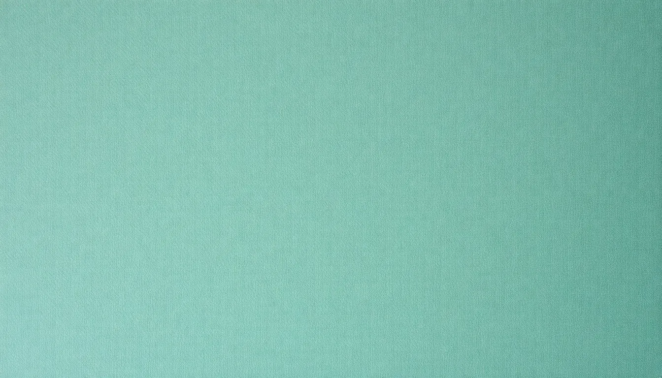 guia completa del fraccionamiento de pago a hacienda