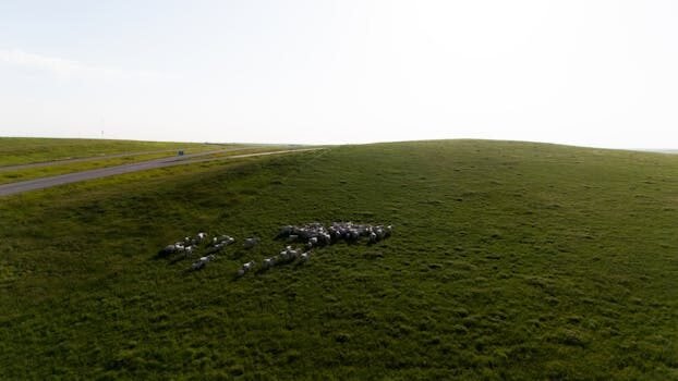 Overbooking en vuelos: cuatro datos que debes conocer para proteger tus derechos 6 overbooking en vuelos cuatro datos que debes conocer para proteger tus derechos 2