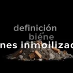 Definición de bienes inmovilizados y su importancia