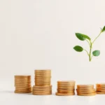 Qué es ASNEF y cómo afecta tu situación financiera