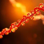 Abintestato y su efecto en la sucesión hereditaria