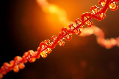 abintestato y su efecto en la sucesion hereditaria