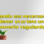 Cuándo es necesario tener un convenio regulador