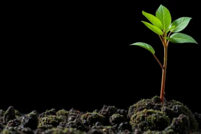 estafas por email de suplantacion a la seguridad social 2023