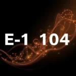 Formulario E-104 guía completa y requisitos esenciales