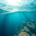 Guía para tramitar la herencia en Roquetas de Mar