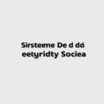 Sistema RED de la Seguridad Social en España explicado